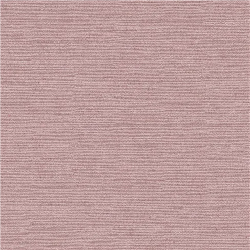 Mirissa Damask Rose