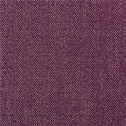 Torrington Mulberry