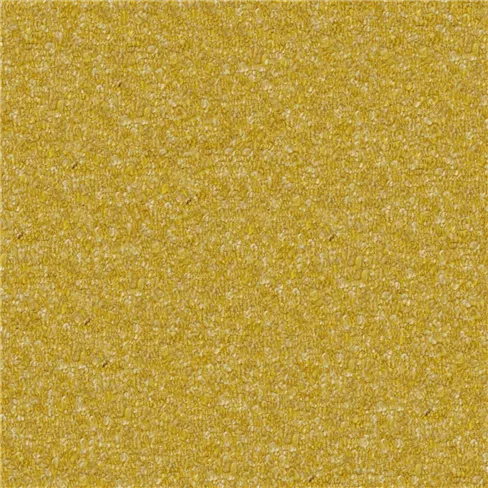 Cadenza Amber