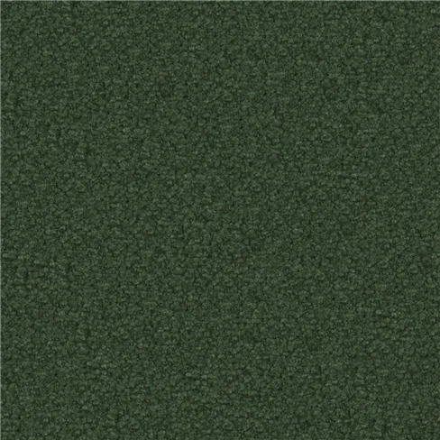 Aria Fir
