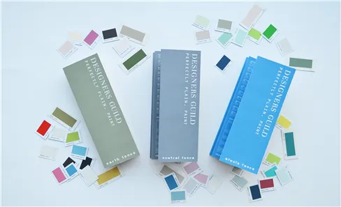 Designers Guild paint