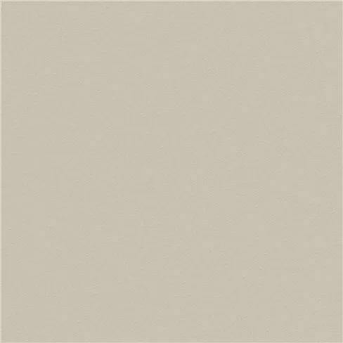 Brinzio Oyster