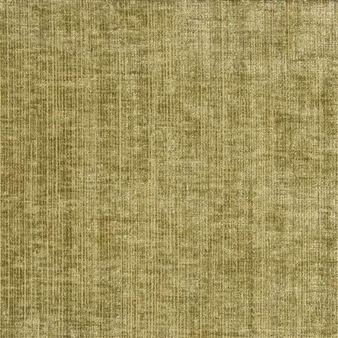 kintore - olive