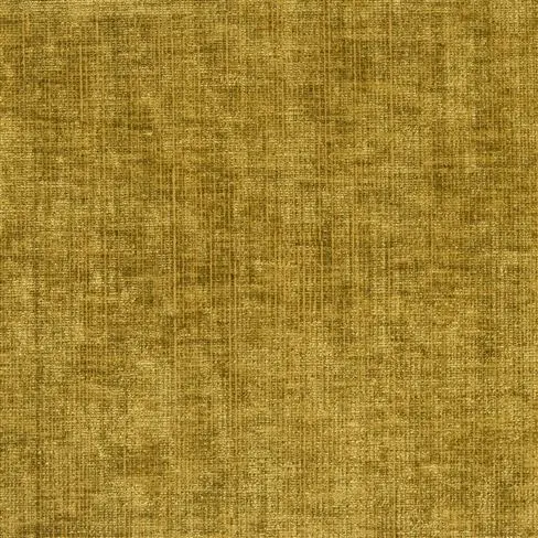 kintore - cumin