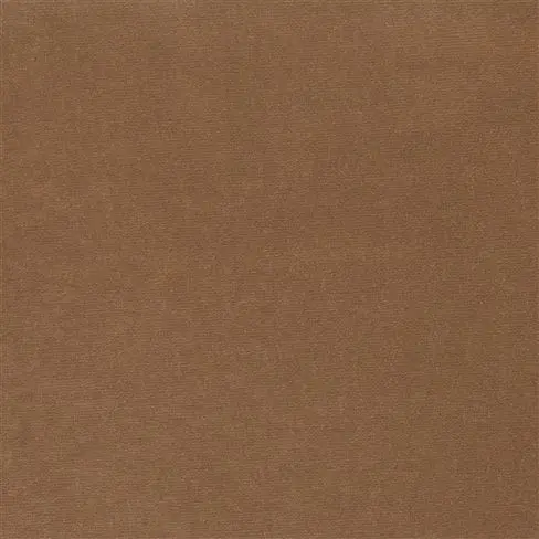 cassia - hazel