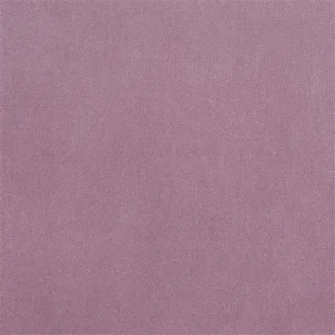 cassia - grape