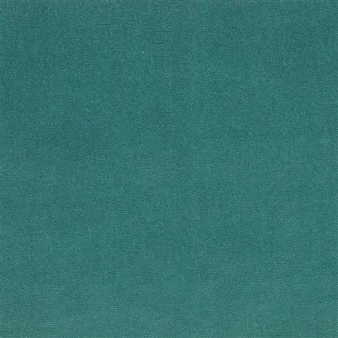 cassia - azure