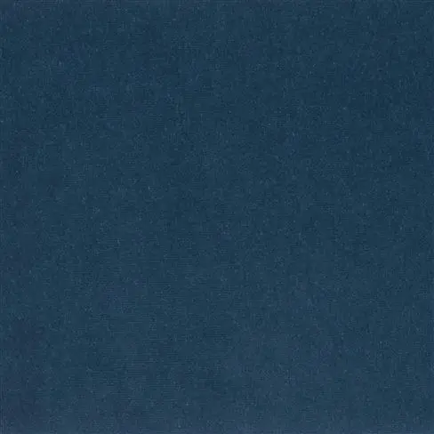 cassia - prussian
