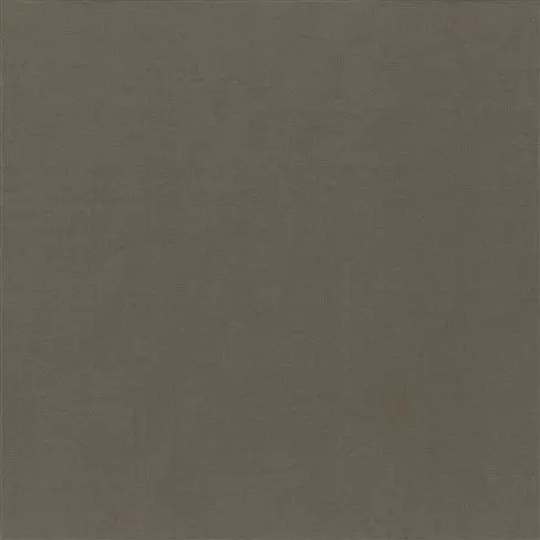 aquarelle - cocoa