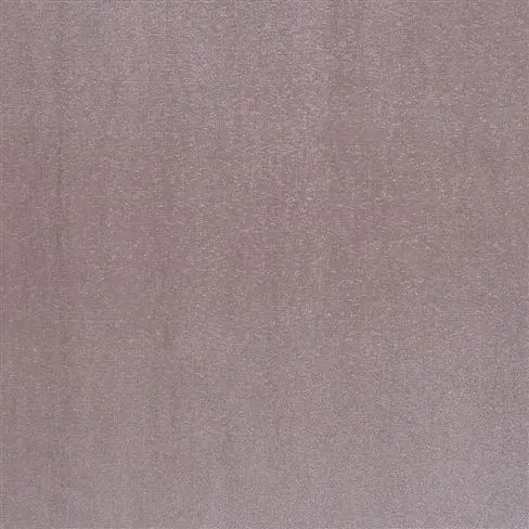 satinato - oyster