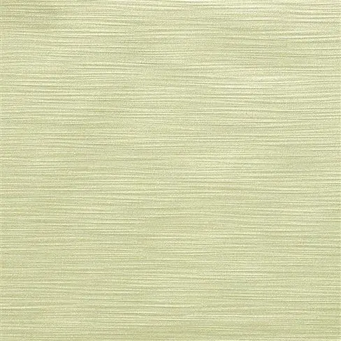 pampas - alchemilla