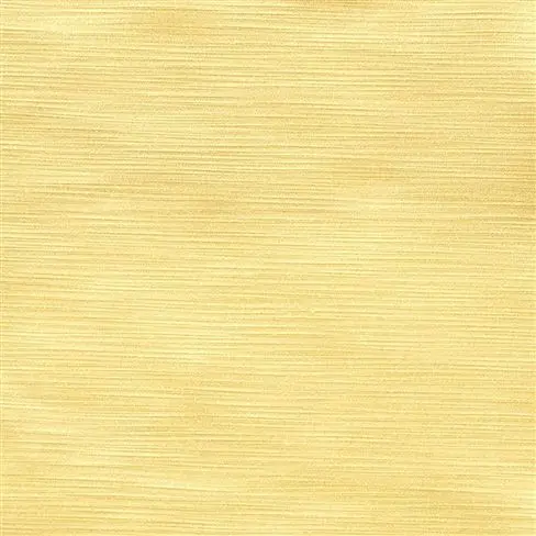 pampas - primrose