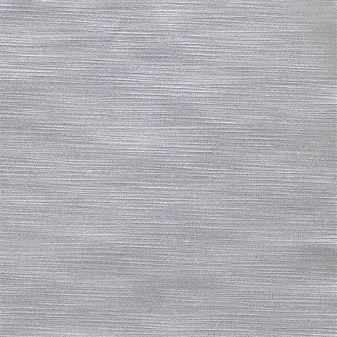 pampas - zinc