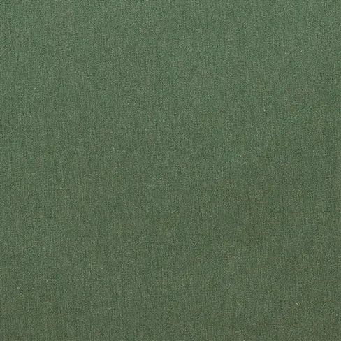 savanna - forest