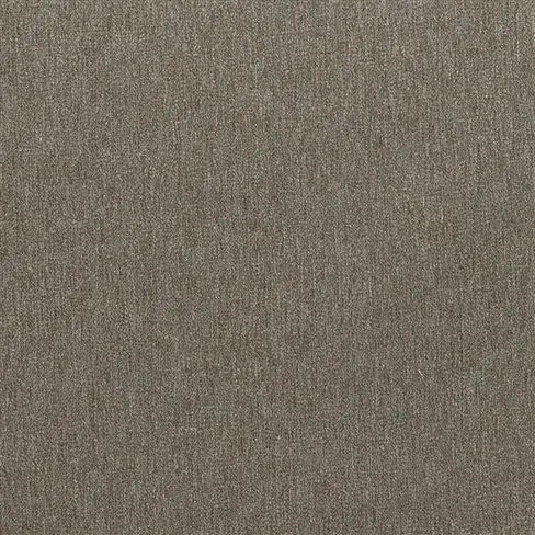 savanna - birch
