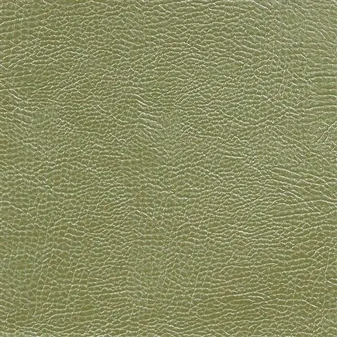 mojave - olive