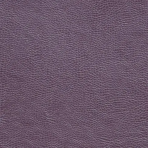 mojave - damson