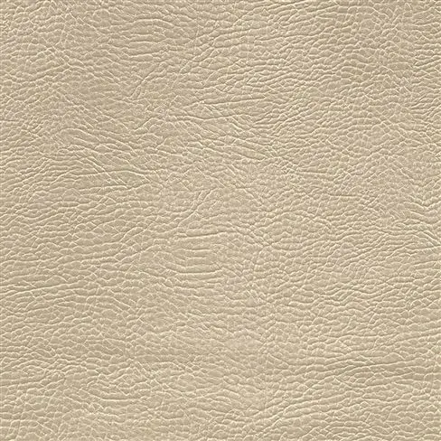 mojave - putty