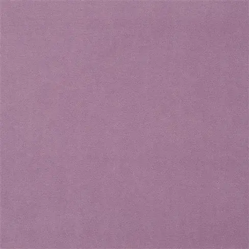 royal velvet - orchid