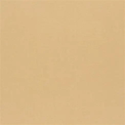 tiber - champagne