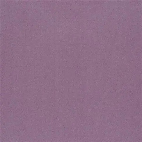 tiber - crocus