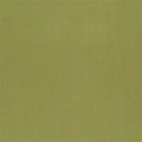 tiber - moss
