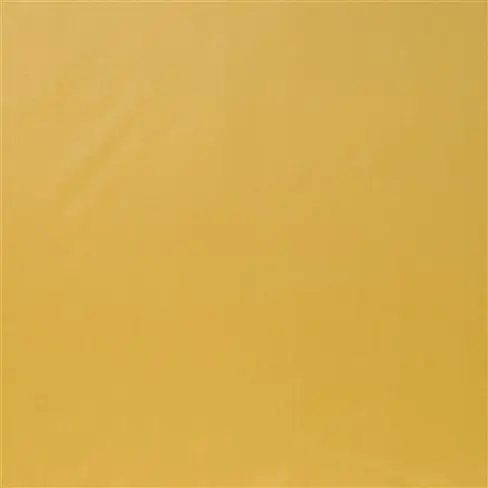 patia - mango