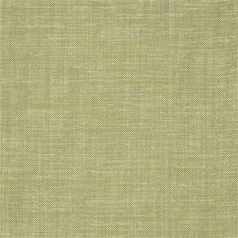 cosia - olive