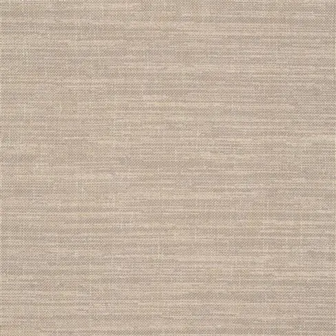 cosia - pebble