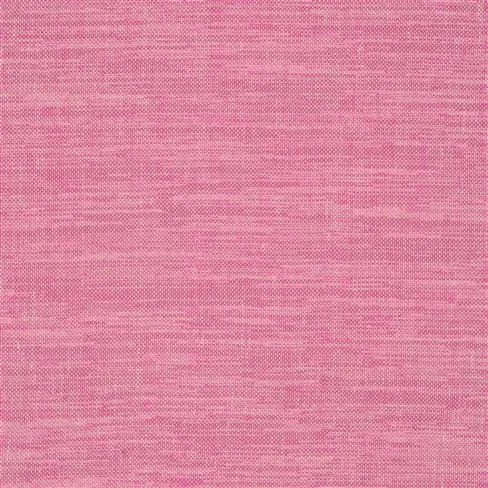 cosia - peony