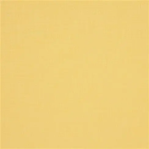 orba - mango