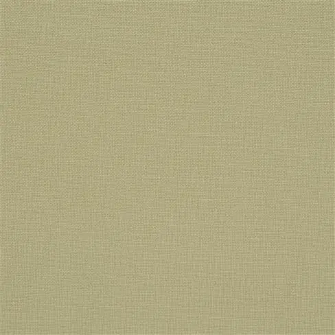 manzoni - seagrass