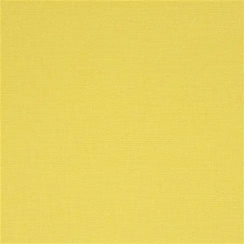 manzoni - straw