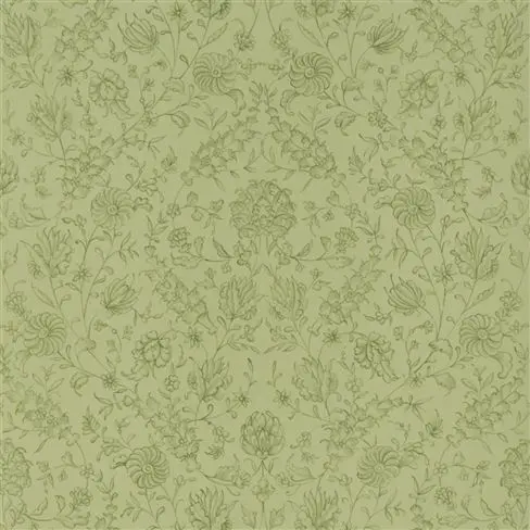 flora - fern