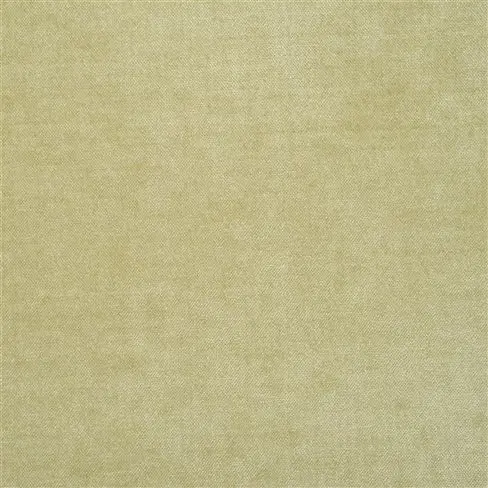 zaragoza - pear