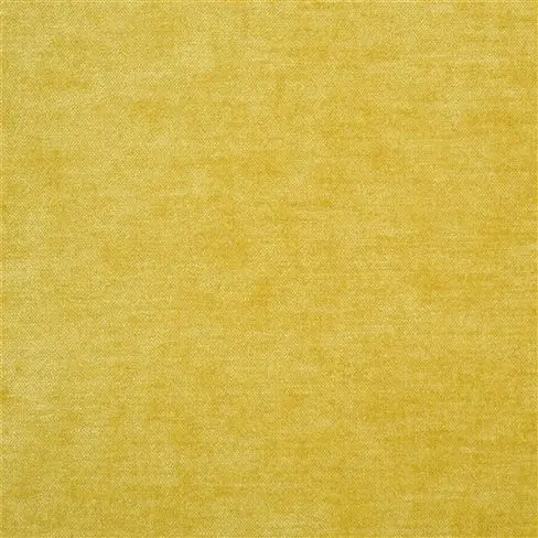 zaragoza - gold