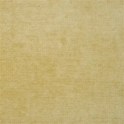 zaragoza - honey