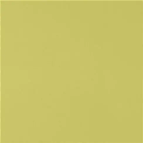 piave - pistachio