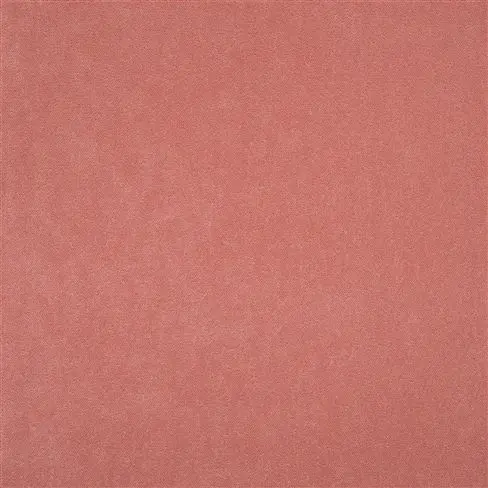 Arona - Blossom