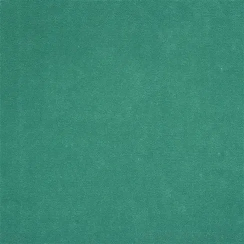Arona - Ocean