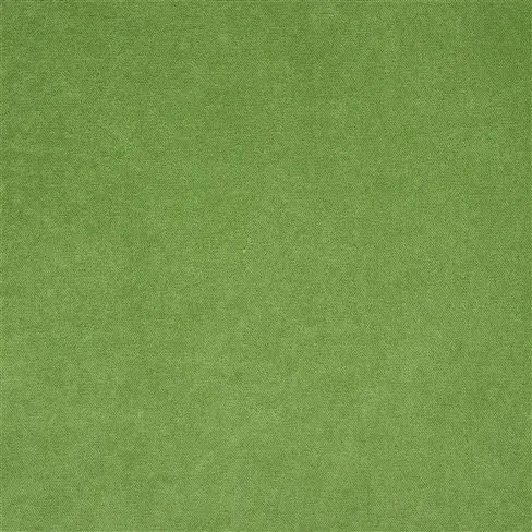 Arona - Leaf