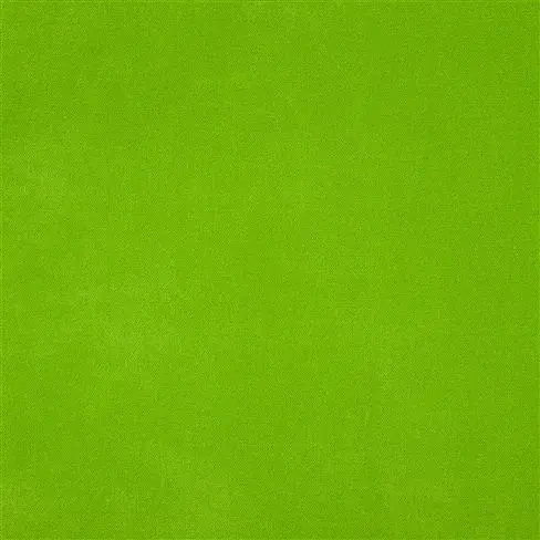 Arona - Grass
