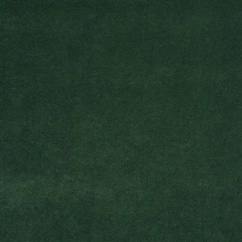 Arona - Fir