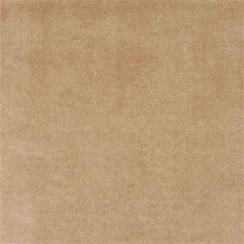 Arona - Hazel