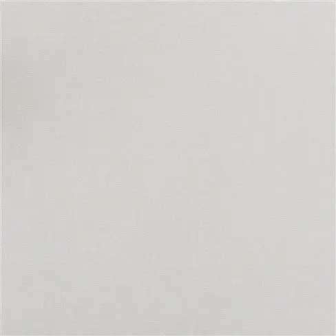 Arona - Platinum