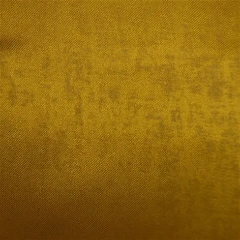 Canzo - Gold