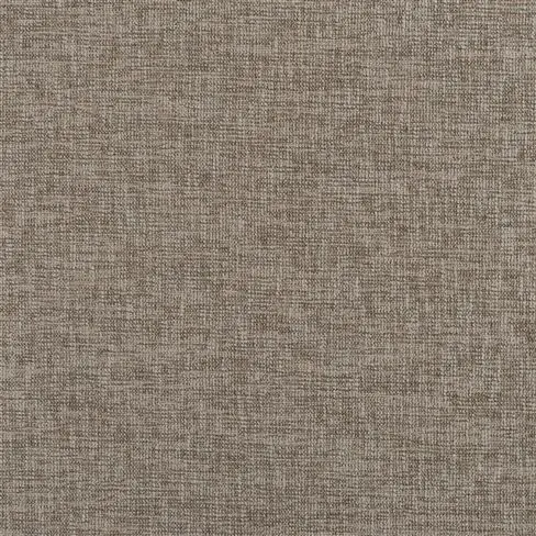 Kalutara Walnut