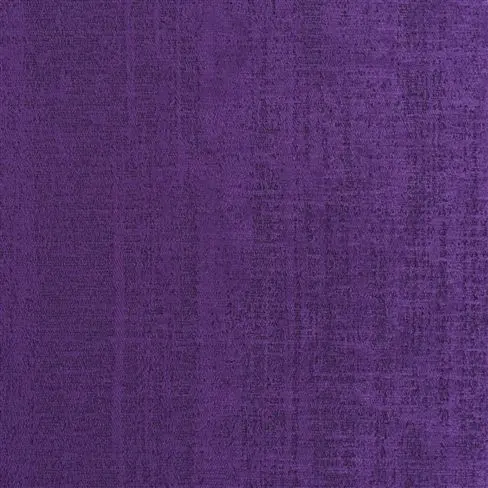 Ampara Violet