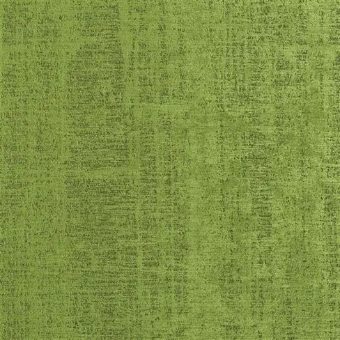 Ampara Leaf