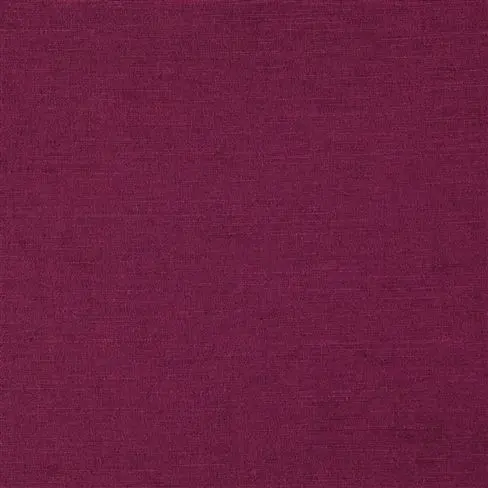 Mirissa Cassis